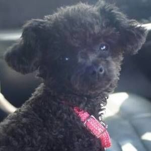 Meet your Posher, Rella ann